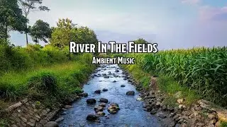 River In The Fields | D&D Ambient