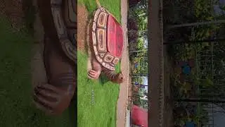 Banswada Children's Park 🌸 💕#banswada #shorts #explore #park #foryou #foryoupage #growth #reels