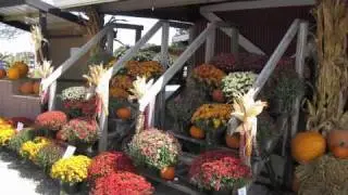 Increase Fall Season Sales For Agritourism Operators