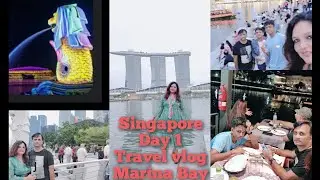 How to plan Singapore trip? Day 1 tour Marina Bay, Merlion, Boat Quay #sightsee #singaporetourism