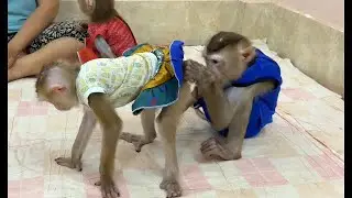 Sweetie Brother Sovan Being A Doctor Come To Check On Sister Jula With Much Care & Worry ,