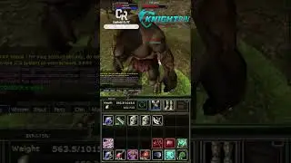 2 Saat Eslant Troll Warrior Farmı Int Battle Priest #intbp #knightonline #kofarm #knightonlinefarm
