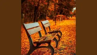 Romantic Winter Day