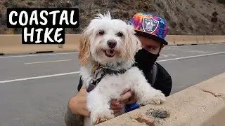 DEVIL'S SLIDE TRAIL: California Hike on the Old Highway 1
