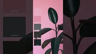 Trending color palette  #adobe #colorspace #colorpalette #colortheme #design #colorscheme