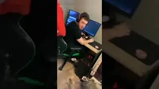Kitten turn off the computer