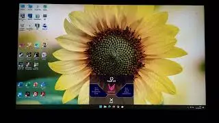 LG UltraGear 24GQ50F-B Menu System (OSD)