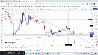 Altcoins update | Top 5 long-term holding coins | Latest coins analysis in hindi.