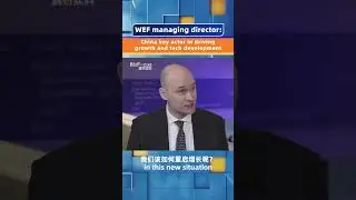 WEF managing director: China key actor in driving growth and tech development