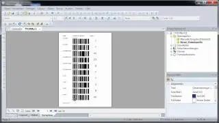 Reporting-Software / Reportgenerator TFORMer Designer