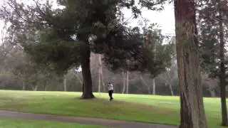 Titleist 712 MB forged punch shot