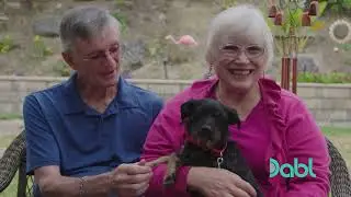 Training A Dog To Help Owner With Parkinson's