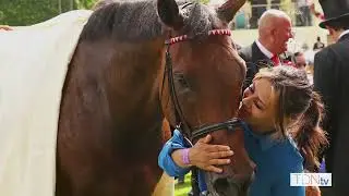 Rogue Millennium Goes Full Circle At Tattersalls Sceptre Sessions