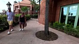Atlantis Bahamas: Walk from Harborside to the Royal Towers turtle pool