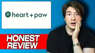 Heart + Paw: My Honest Review and User Experience with This Vet Clinic