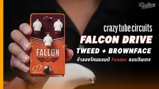 รีวิว เอฟเฟค Crazy Tube Circuits Falcon Overdrive | iGuitar Review