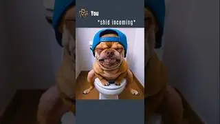 Chihuahua's Instant Regret..!! #memes #ai