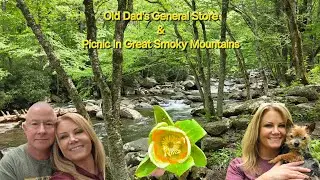Picnicking In The Great Smoky Mountains (Old Dad's Gen. Store & Chimneys Picnic Area)