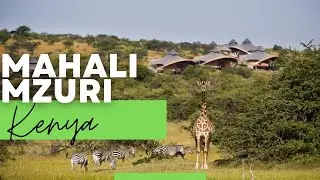 Mahali Mzuri Luxury Safari Camp Masai  Mara Kenya | Founded By Sir Richard Branson | Safari En Kenia