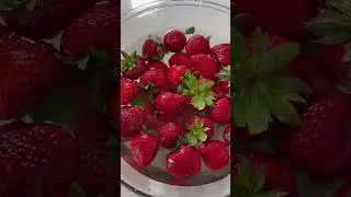 Gross! Please soak your Strawberries in baking soda
