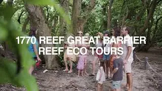 1770 Reef Eco Tours