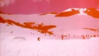 IMGP0006