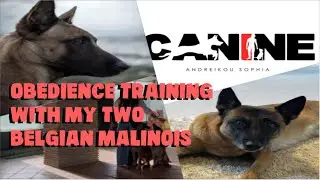&Upsilon;&pi;&alpha;&kappa;&omicron;ή &mu;&epsilon; &Delta;ύ&omicron; &Sigma;&kappa;ύ&lambda;&omicron;&upsilon;&sigmaf; | Obedience Training with my two Malinois 