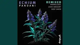 Incana (Andrologic Remix)