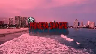 PRIMERA SANGRE 2025