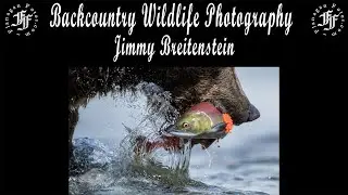 Backcountry Wildlife Photography with Jimmy Breitenstein