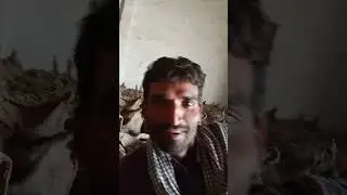 rajk