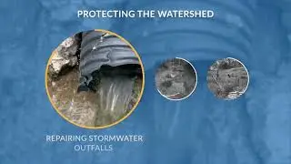 Protecting the Watershed