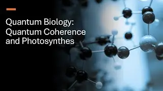 Quantum Biology: Quantum Coherence and Photosynthesis