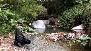 Small Stream Trout Fishing in Southern California