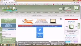вывод денег с сео фаст