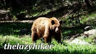 Jakey Lake, Cameron Meadows Hike and Trail Guide - Lassen Volcanic National Park