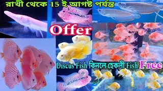রাখী থেকে 15 ই আগষ্ট পর্যন্ত বিশেষ আকর্ষণ | Aquarium Fish Shop Near Me | Aquarium Fish Price | Fish