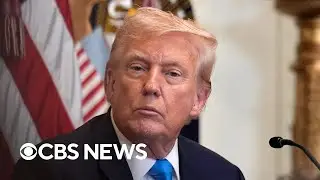 U.S. and Israel under pressure to address Gaza crisis, tariff deadline looms and more | The Takeout