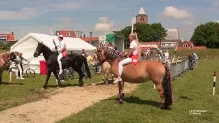 Ringrijden in Oost Souburg