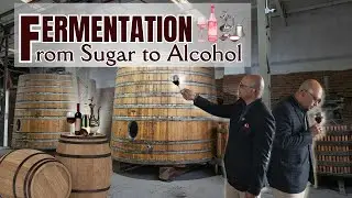 Fermentation: From Sugar to Alcohol II Learn with Jeet II F&B