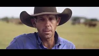 There’s more to Australian mining - Rehabilitation at New Acland Mine (60sec)