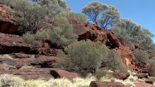 Finke Gorge National Park NT