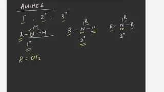 Amines,Primary,Secondary,Tertiary#chemistry