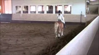 Maya`s f&oslash;rste ride&oslash;kt i ridehus!