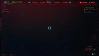 Cyberpunk 2077 Legendary rocker pants