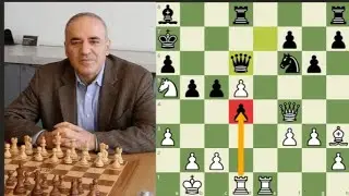 The Best Chess Game Of All Time :- Garry Kasparov vs Veselin Topalov (1999)