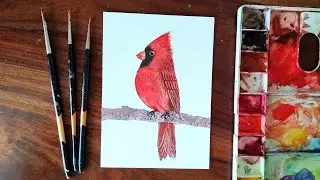 Red Cardinal  Bird watercolour painting || Speed painting process