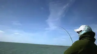 Andros Islands Hunting Bonefish