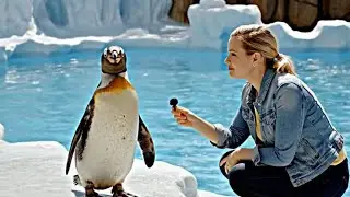 I interview animals with a tiny mic | funny animals talk | animals talking
