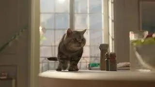 Publicit&eacute; Mobalpa 2024 - Des cuisines pour la vie (25s) | MOBALPA FR | HD